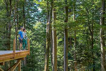 Einzigartiges WaldSpa auf 40.000 qm im Bayerischen Wald